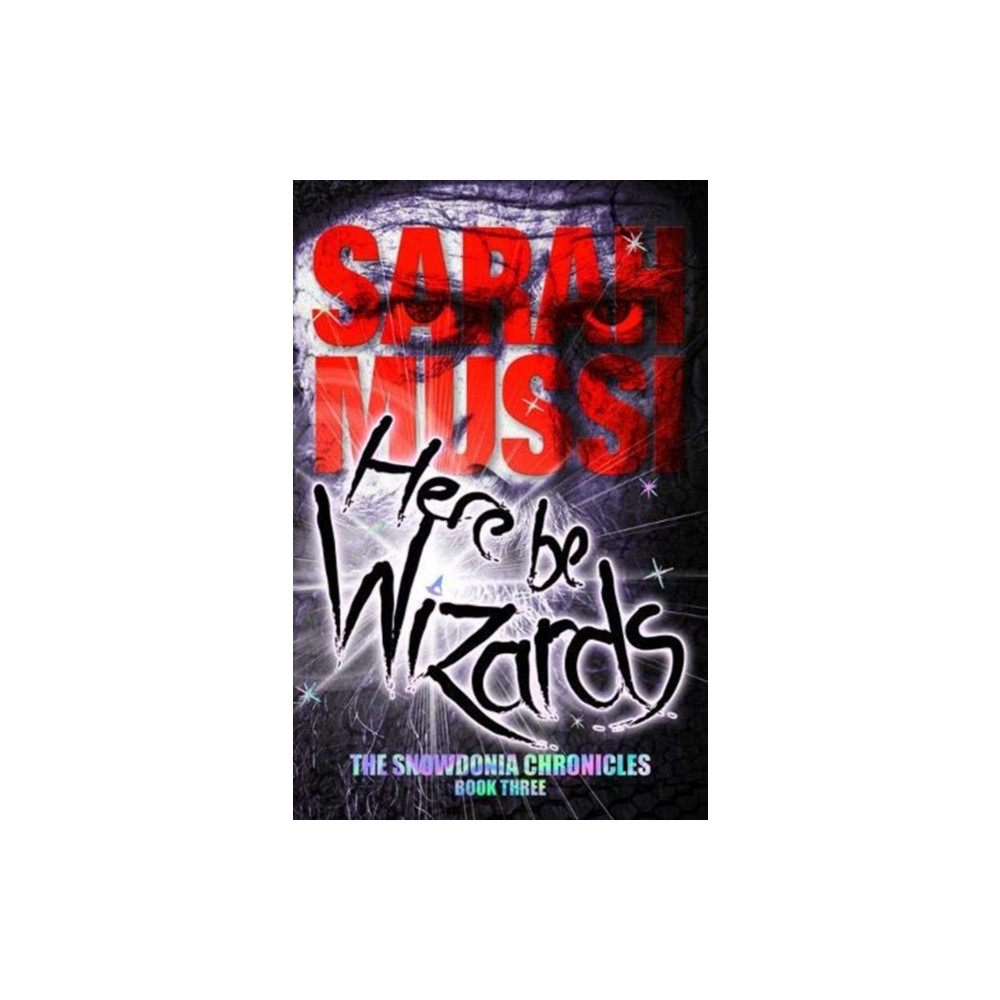 Here be Wizards (häftad, english) Vertebrate Publishing Ltd