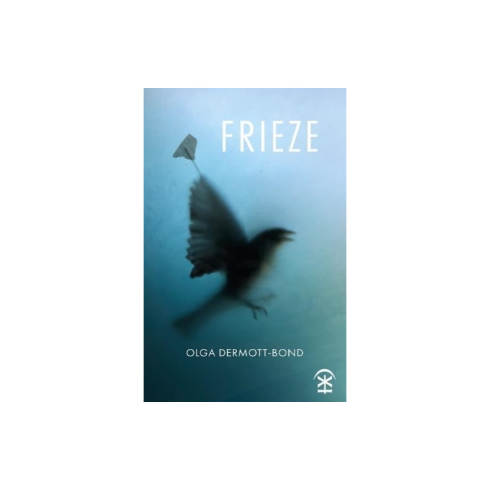 Frieze (häftad, english) Nine Arches Press