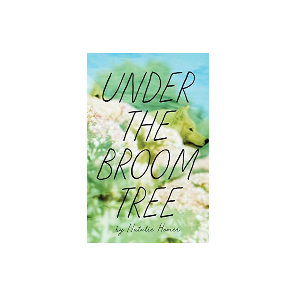 Under the Broom Tree (häftad, english) Autumn House Press