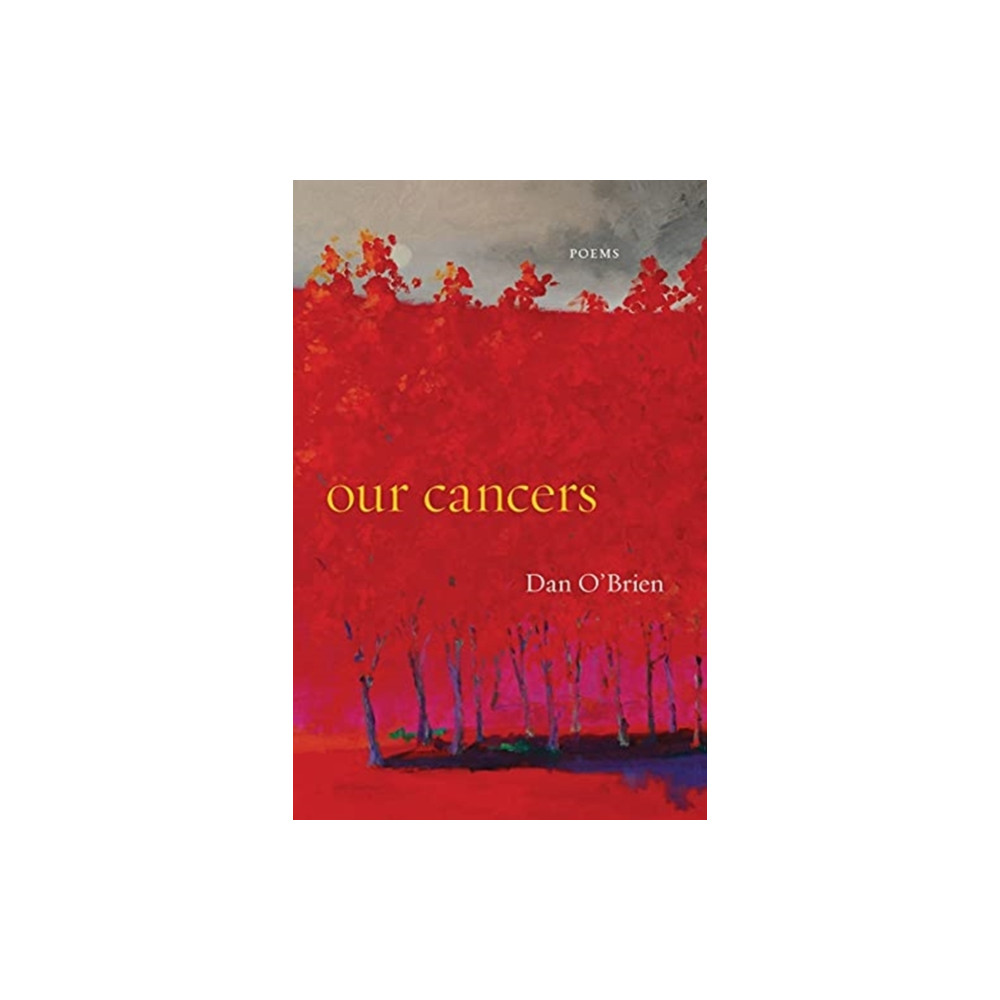 Our Cancers (häftad, eng)