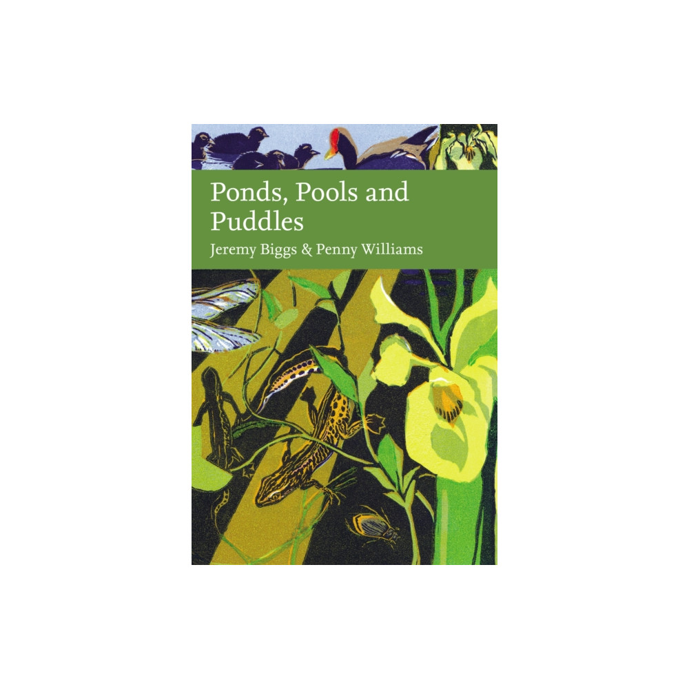 Ponds, Pools and Puddles (inbunden, english) HarperCollins Publishers
