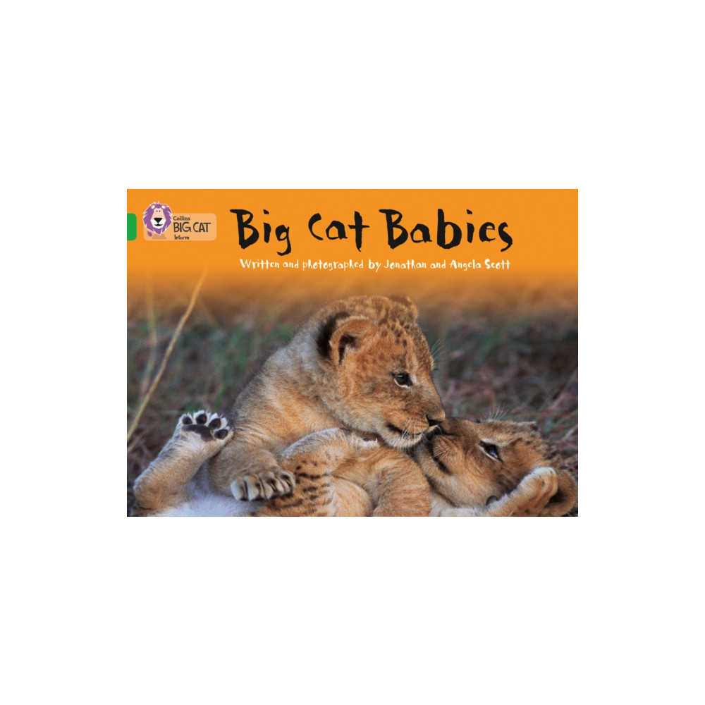 Big Cat Babies (häftad, english) HarperCollins Publishers