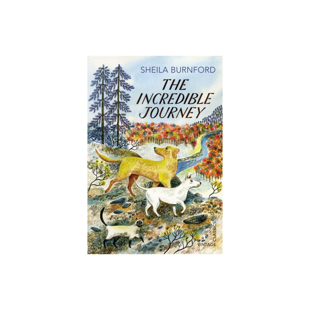 The Incredible Journey (häftad, english) Vintage Publishing