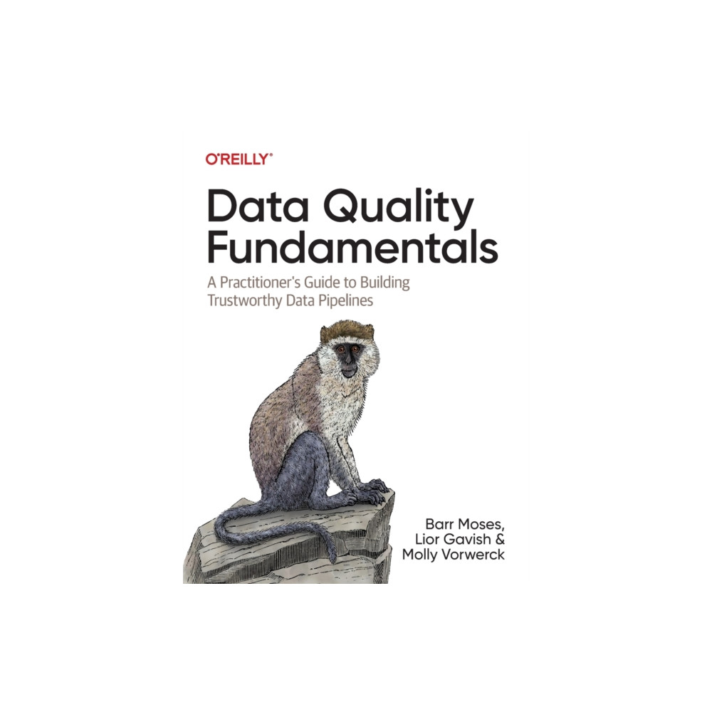Data Quality Fundamentals (häftad, eng)