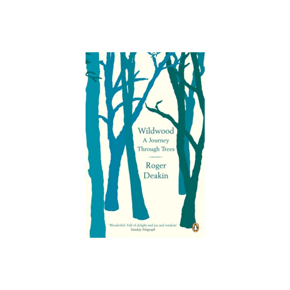 Wildwood (häftad, english) Penguin books ltd