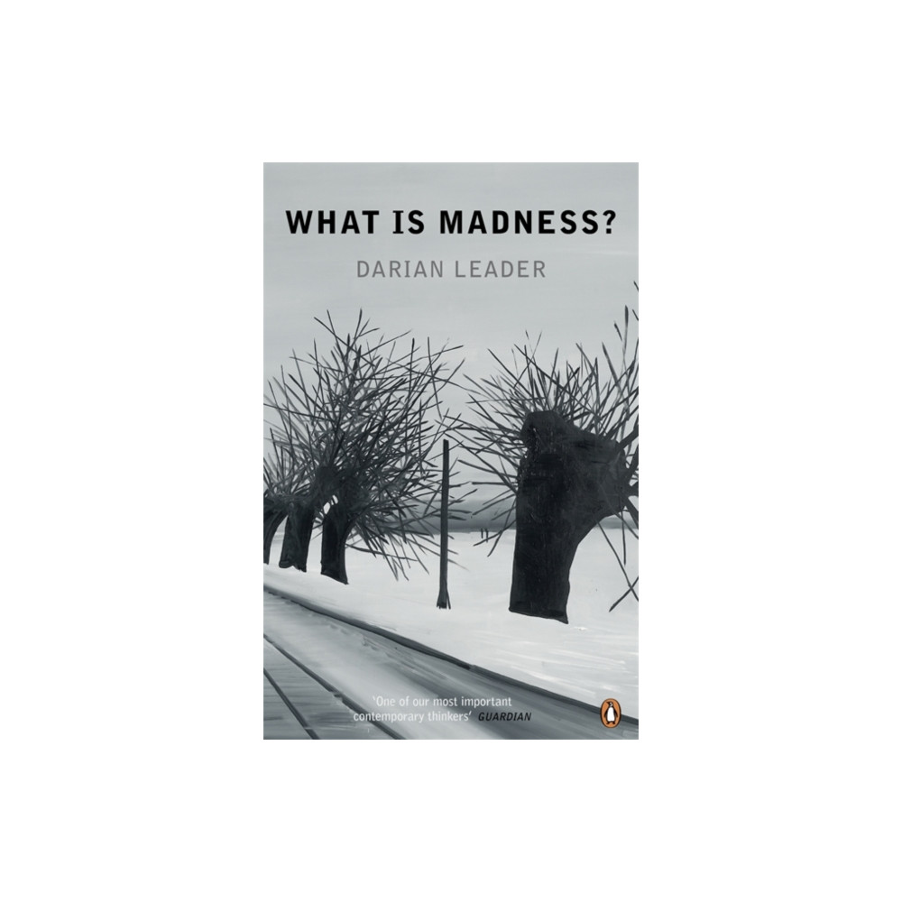 What is Madness? (häftad, eng)
