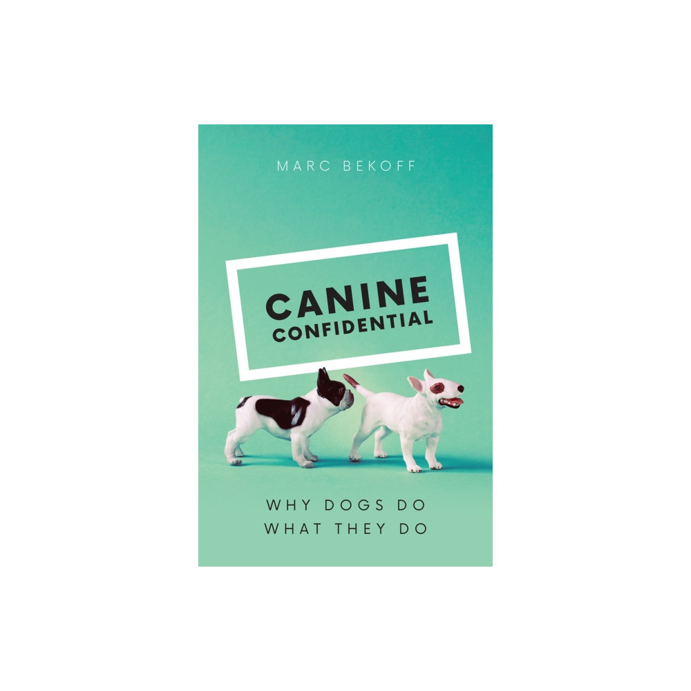 Canine Confidential (inbunden, english) The university of chicago press