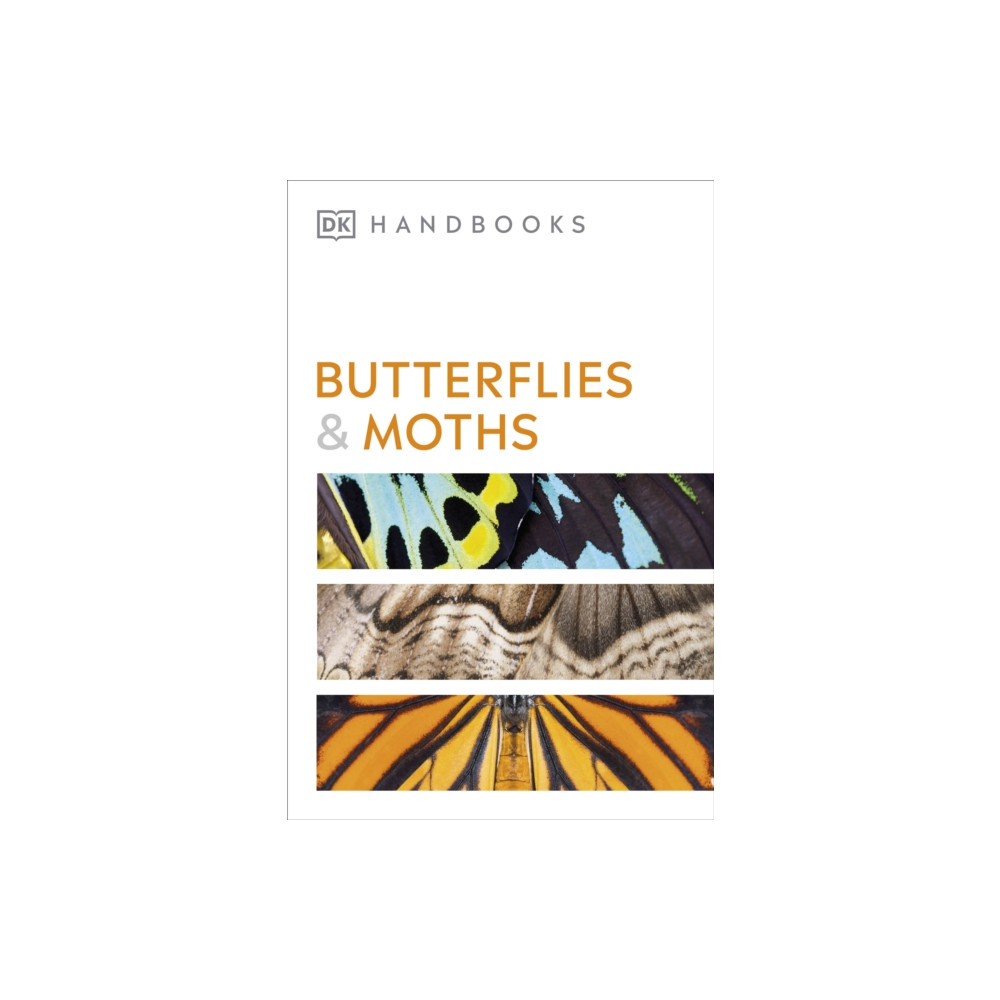 Butterflies and Moths (häftad, eng)