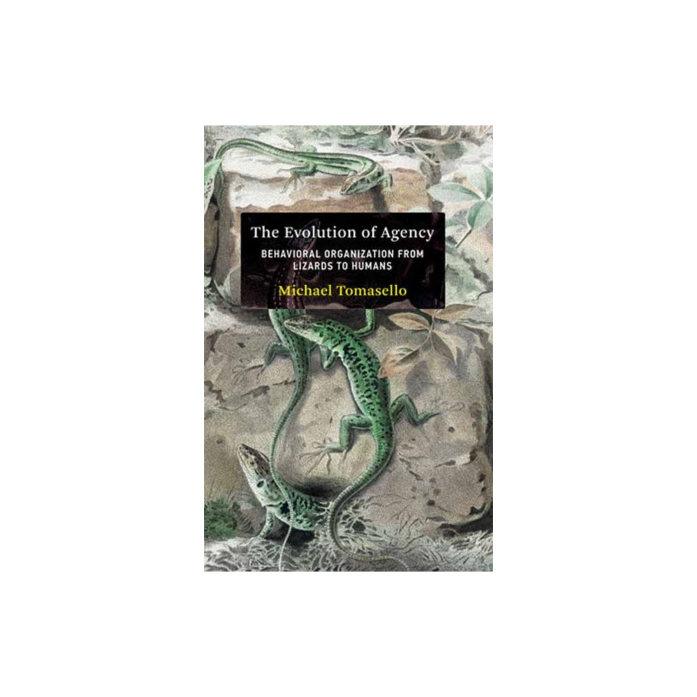 The Evolution of Agency (inbunden, english) Mit press ltd