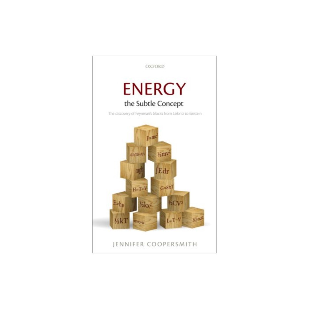 Energy, the Subtle Concept (häftad, english) Oxford University Press