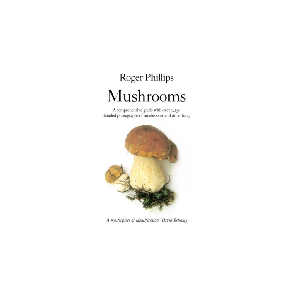 Mushrooms (häftad, english) Pan Macmillan