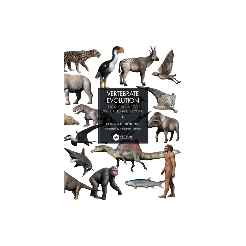 Vertebrate Evolution (häftad, english) Taylor & francis ltd