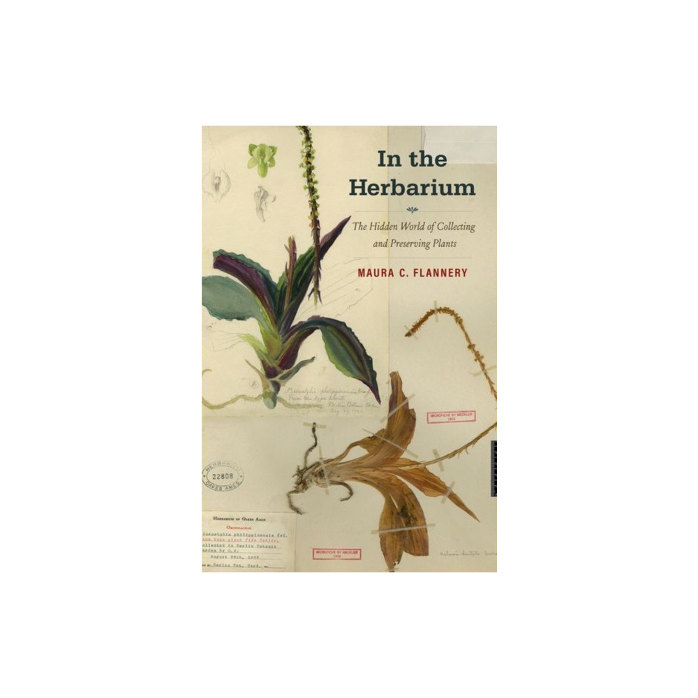 In the Herbarium (inbunden, english) Yale university press