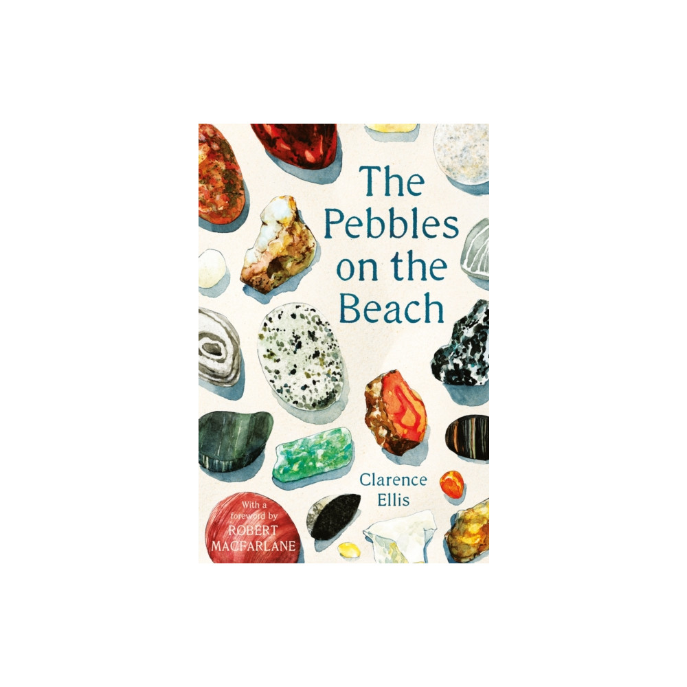The Pebbles on the Beach (häftad, eng)