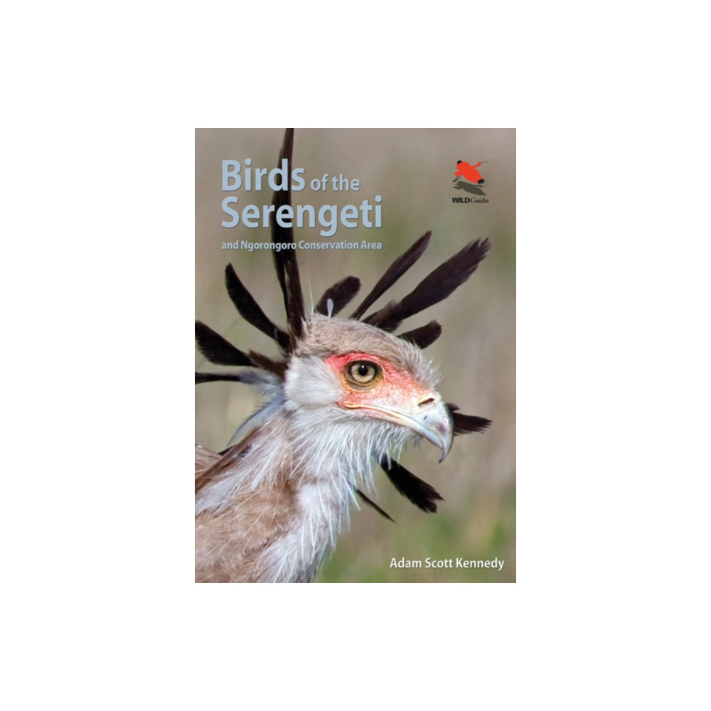 Birds of the Serengeti (häftad, eng)