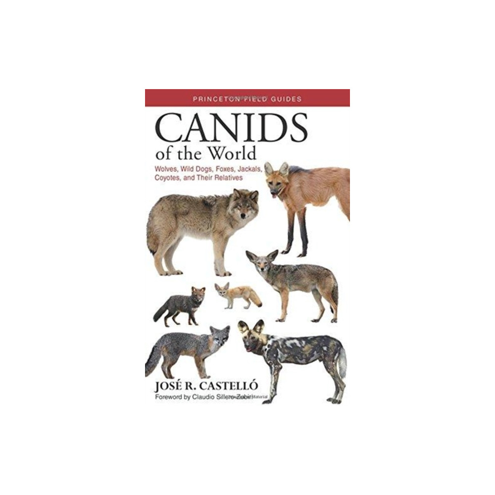 Canids of the World (häftad, eng)