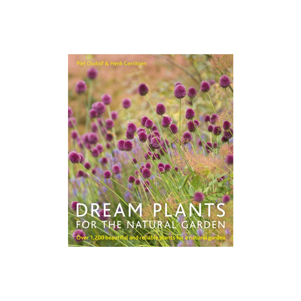 Dream Plants for the Natural Garden (häftad, english) Quarto Publishing Plc