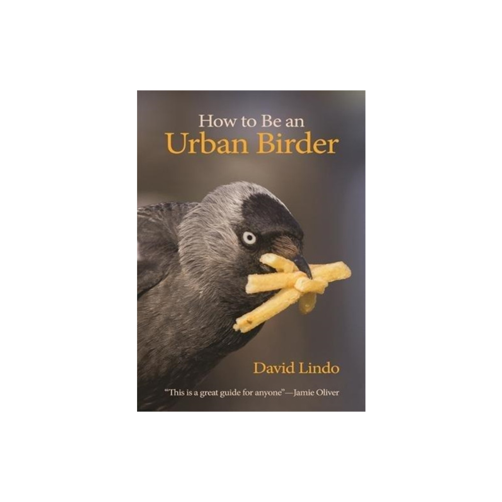 How to Be an Urban Birder (häftad, english) Princeton University Press