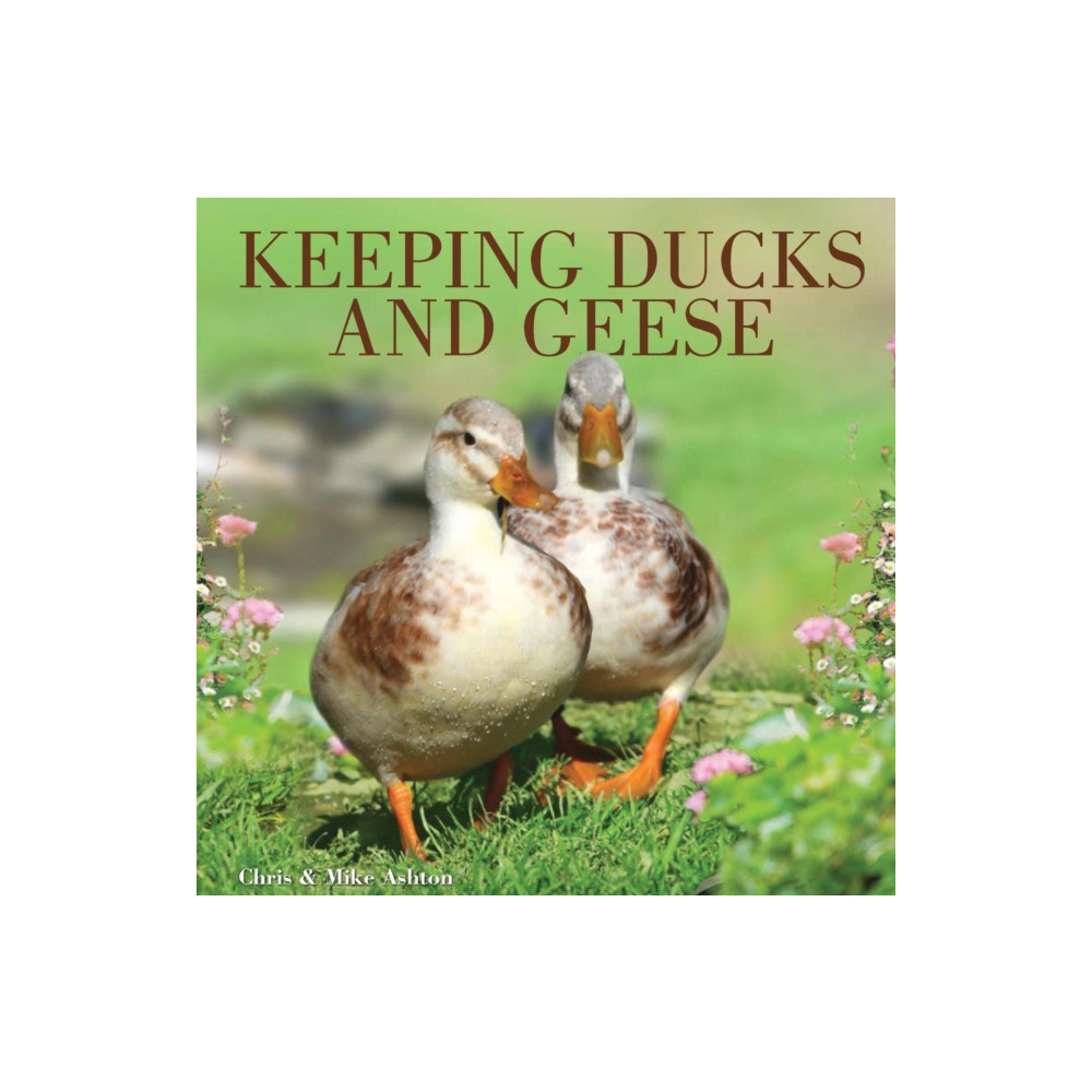 Keeping Ducks and Geese (häftad, english) David & Charles