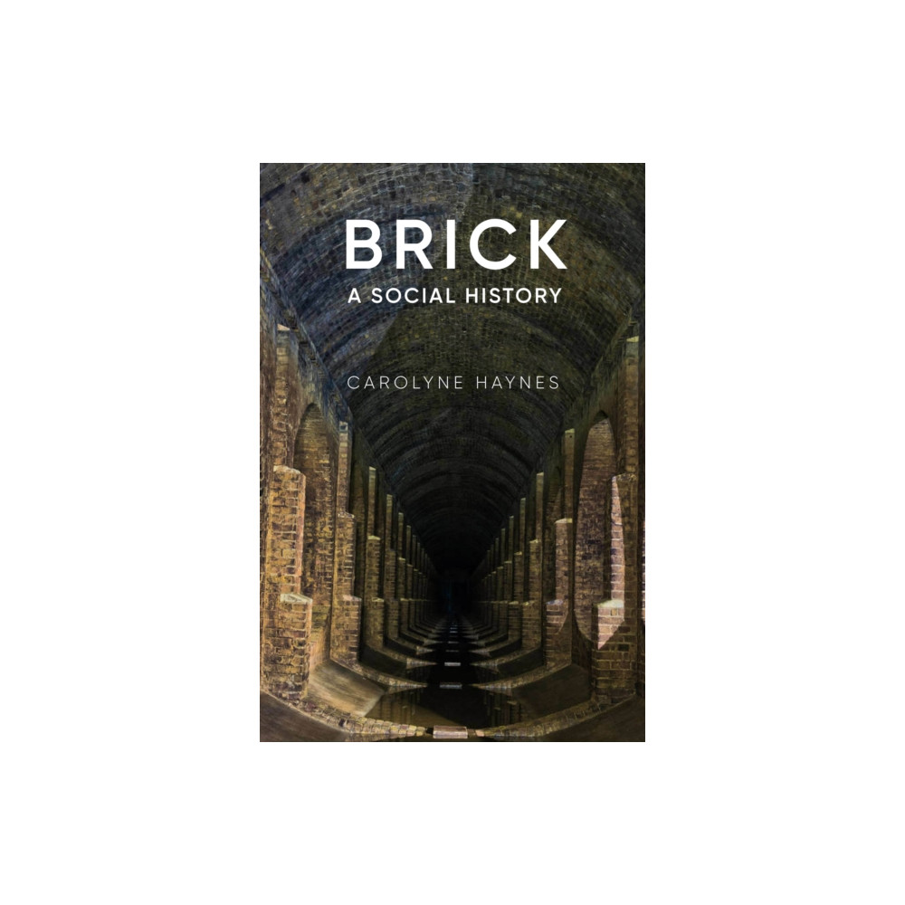 Brick (häftad, eng)