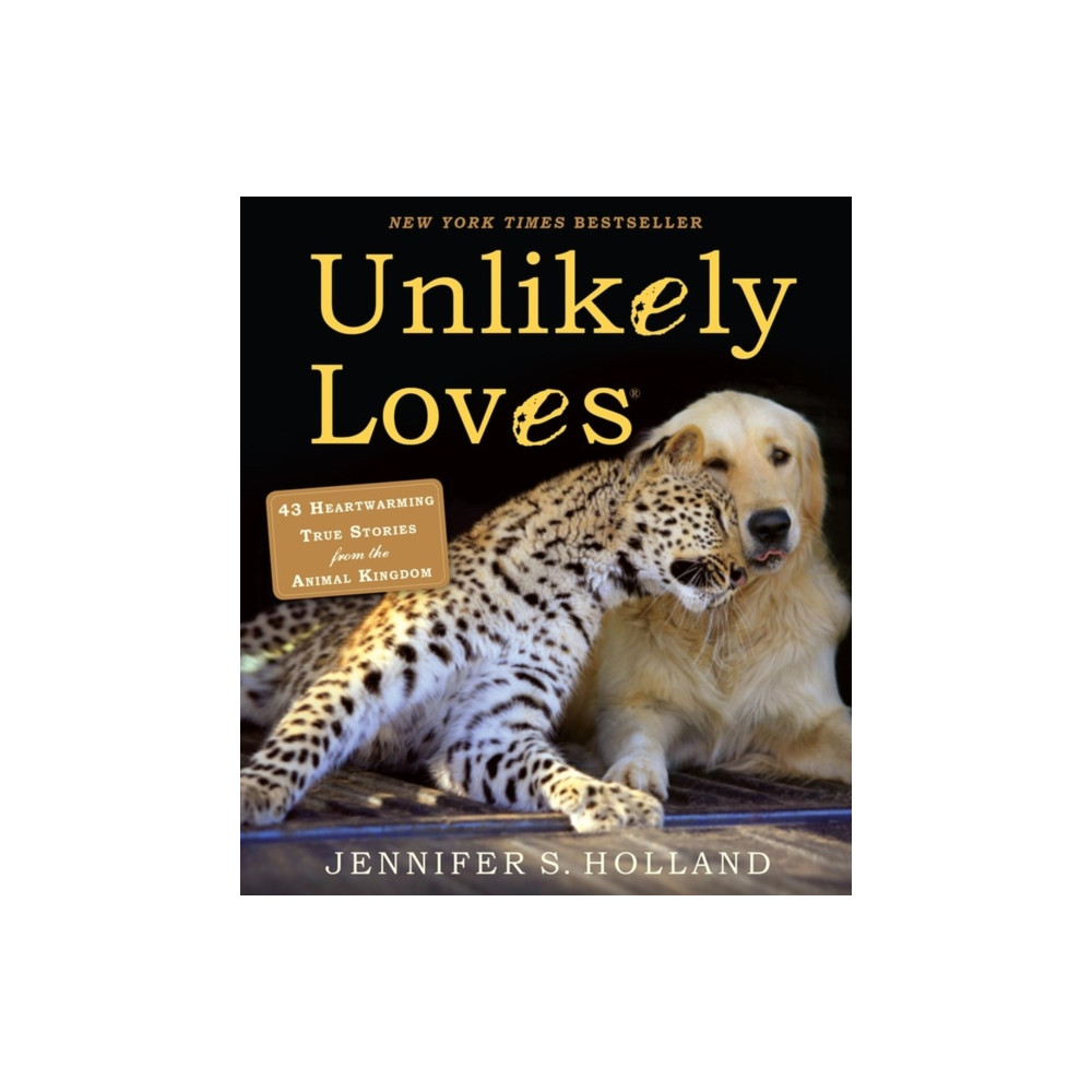 Unlikely Loves (häftad, english) Workman Publishing
