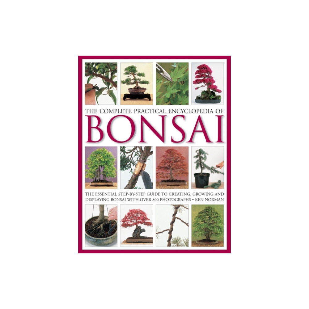 Complete Practical Encyclopedia of Bonsai (inbunden, english) Anness publishing