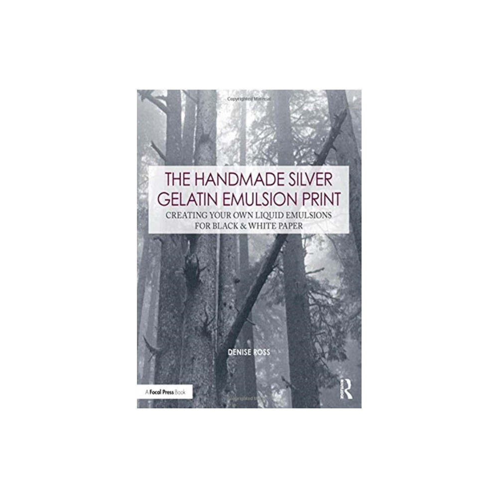 The Handmade Silver Gelatin Emulsion Print (häftad, english) Taylor & francis inc