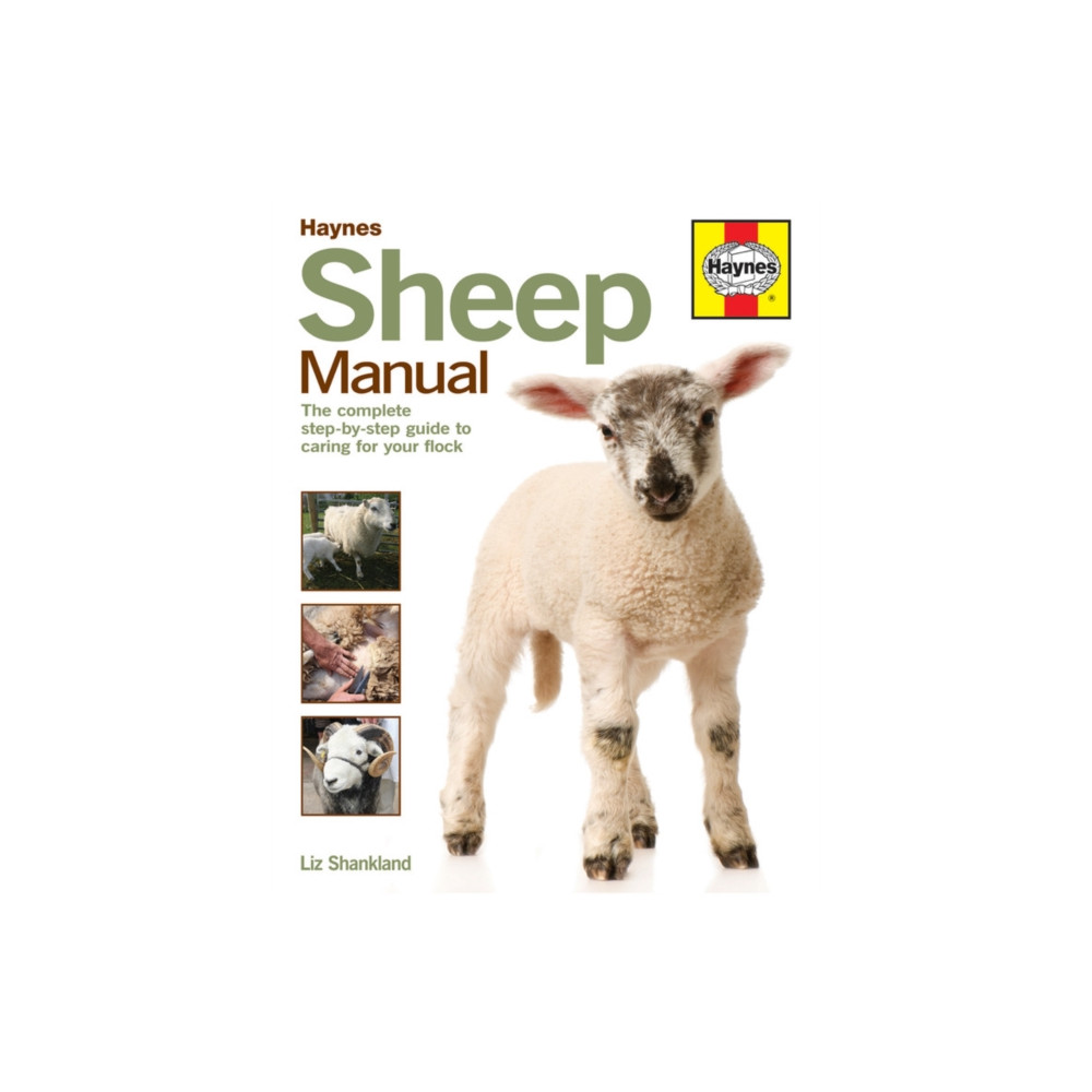 Sheep Manual (inbunden, english) Haynes Publishing Group