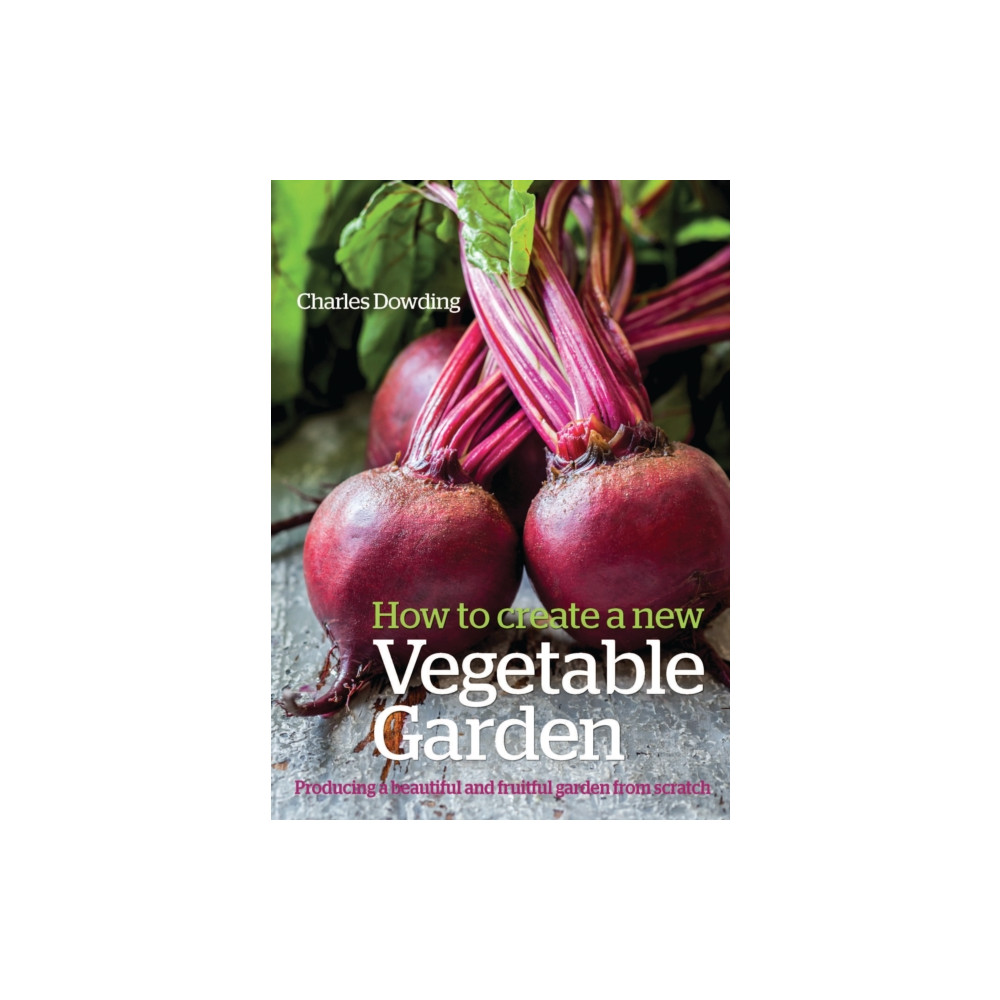 How to Create a New Vegetable Garden (häftad, english) Bloomsbury Publishing PLC