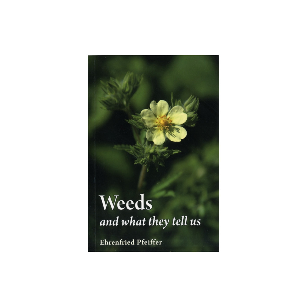Weeds and What They Tell Us (häftad, english) Floris Books