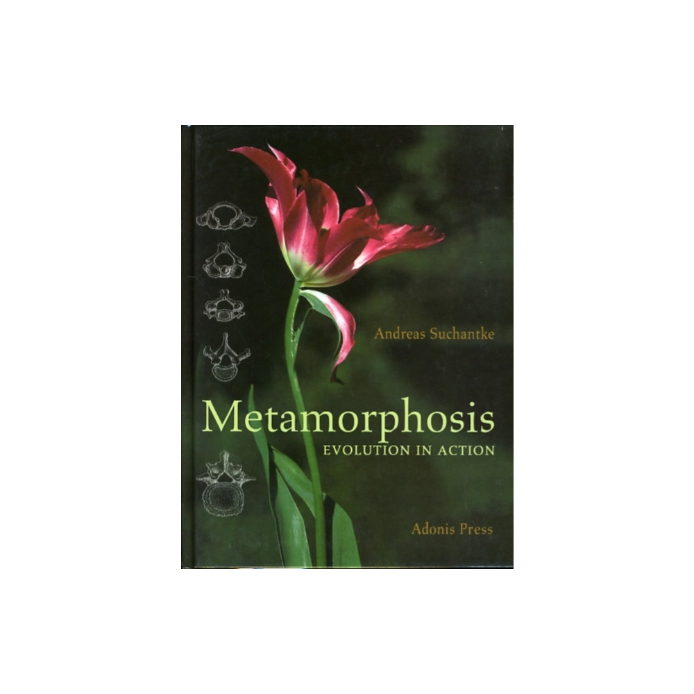 Metamorphosis (inbunden, eng)