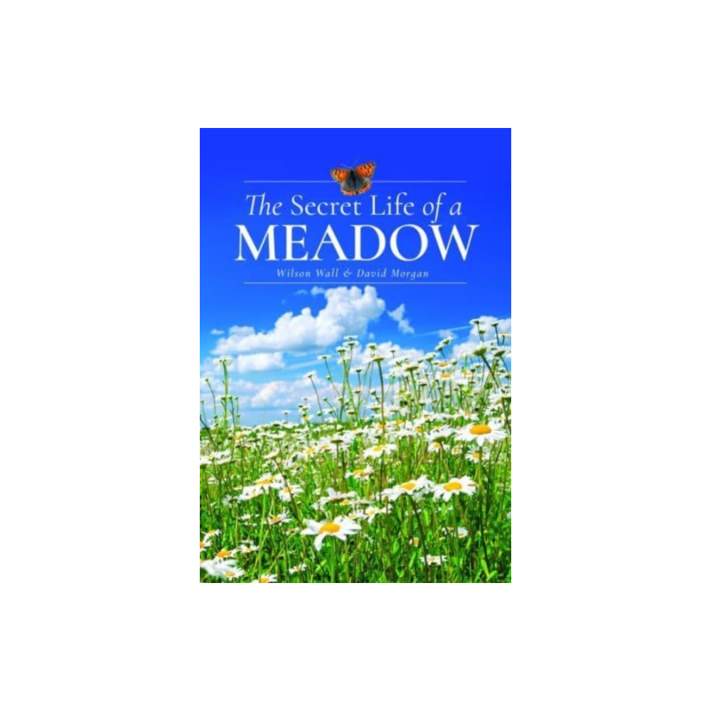The Secret Life of a Meadow (inbunden, eng)