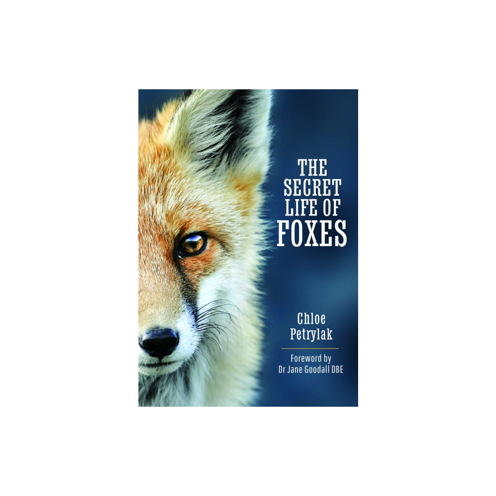 The Secret Life of Foxes (inbunden, english) Pen & Sword Books Ltd