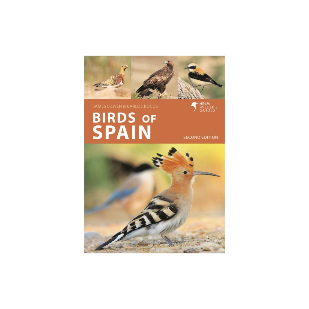 Birds of Spain (häftad, eng)