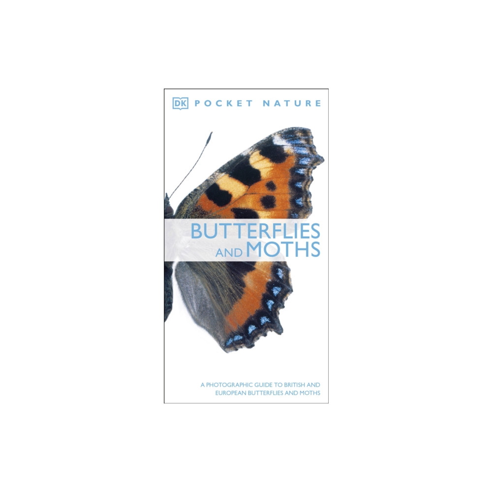 Butterflies and Moths (häftad, english) Dorling Kindersley Ltd