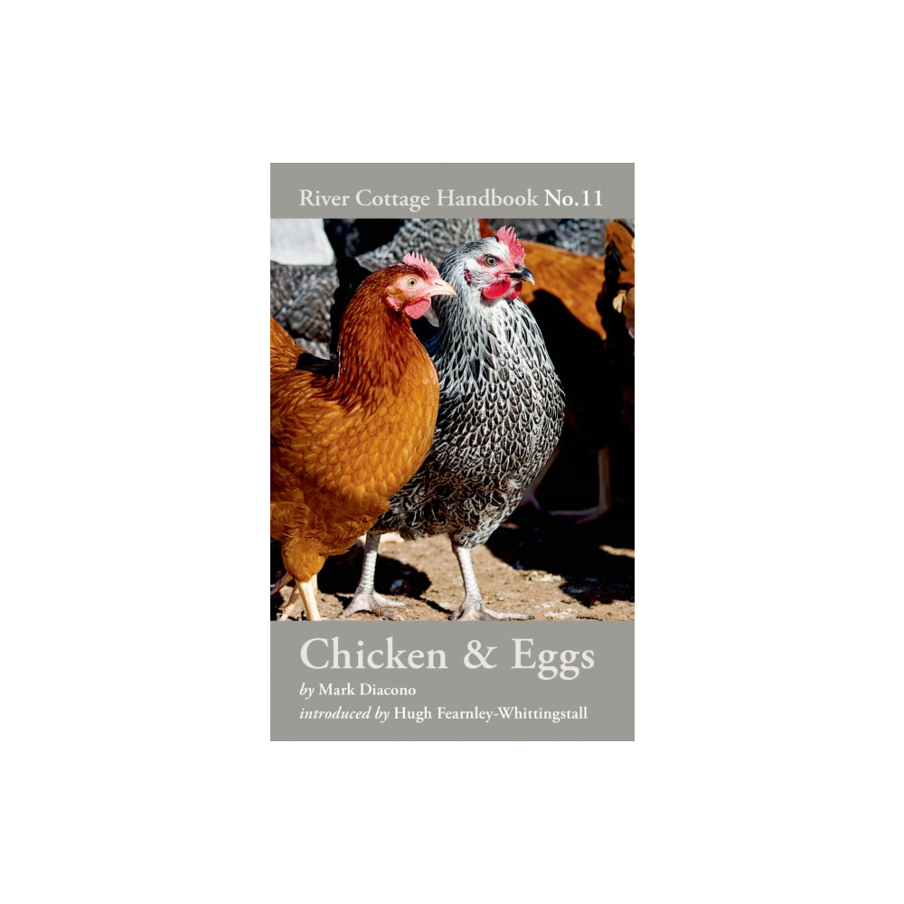Chicken & Eggs (inbunden, english) Bloomsbury Publishing PLC