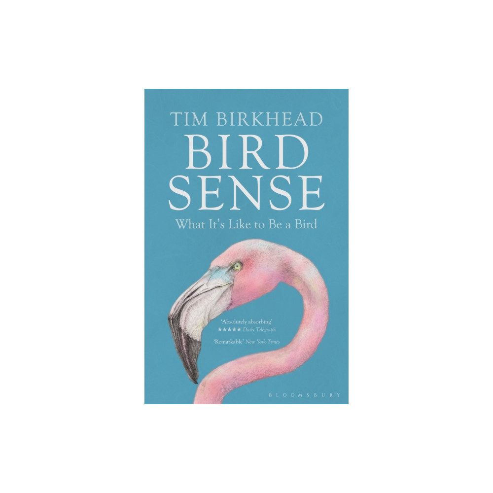 Bird Sense (häftad, english) Bloomsbury Publishing PLC