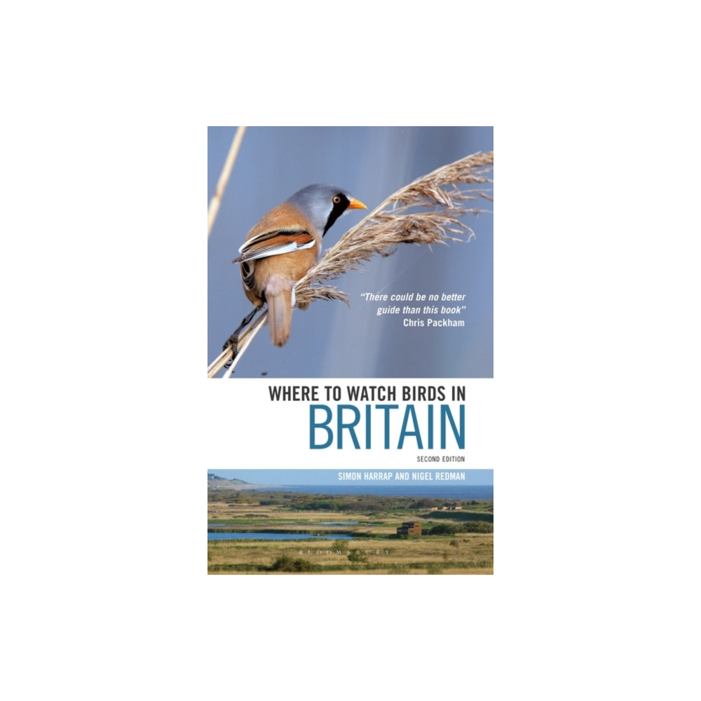 Where to Watch Birds in Britain (häftad, english) Bloomsbury Publishing PLC