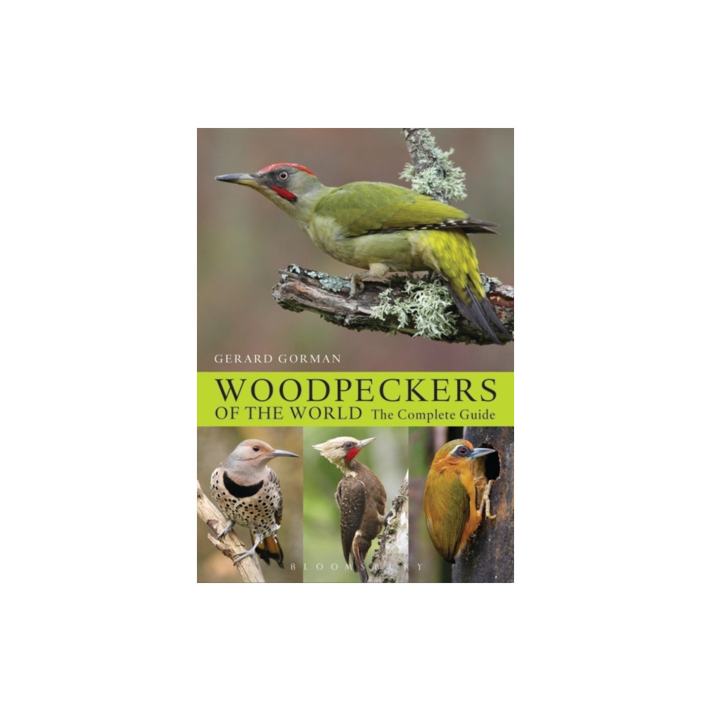 Woodpeckers of the World (inbunden, english) Bloomsbury Publishing PLC