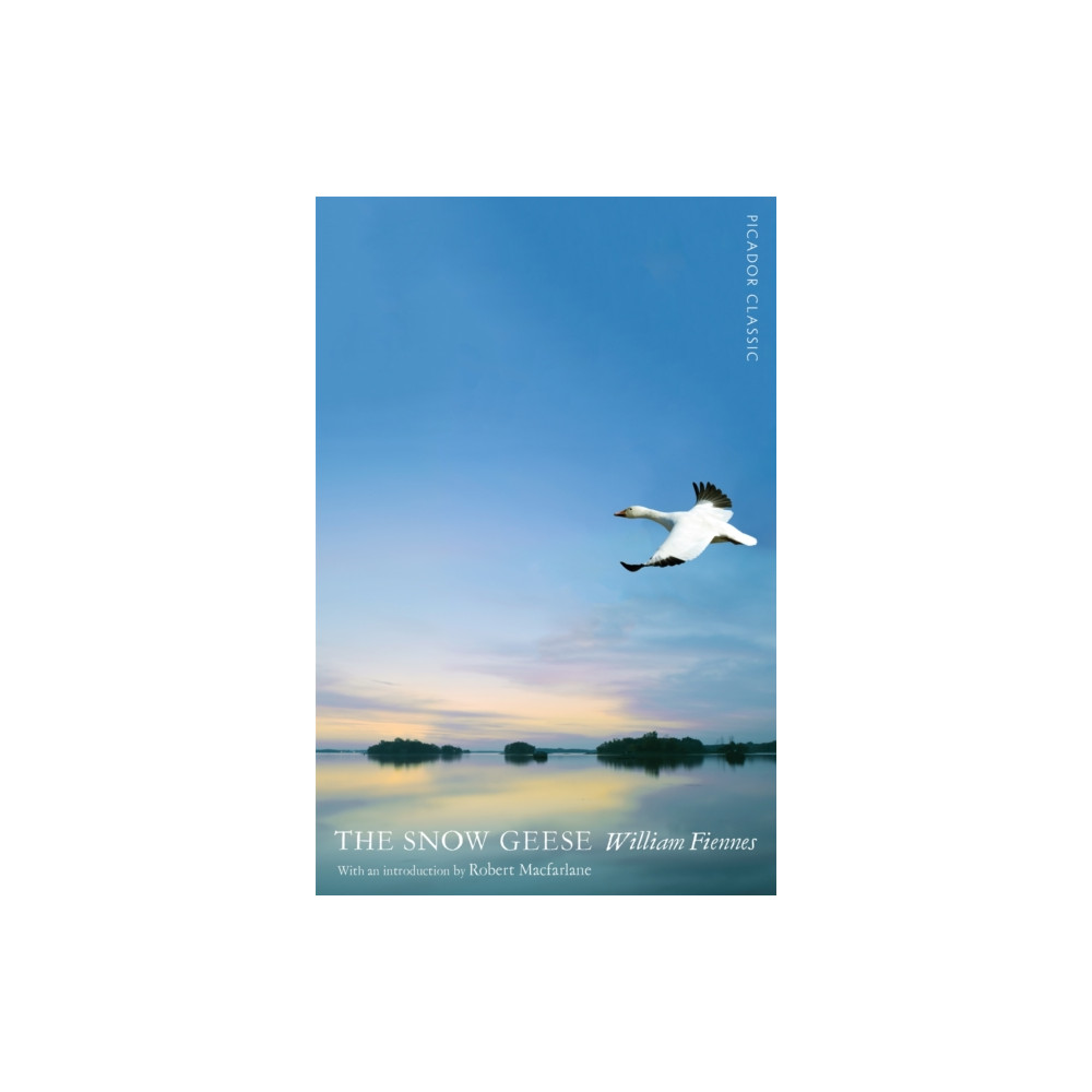 The Snow Geese (häftad, english) Pan Macmillan