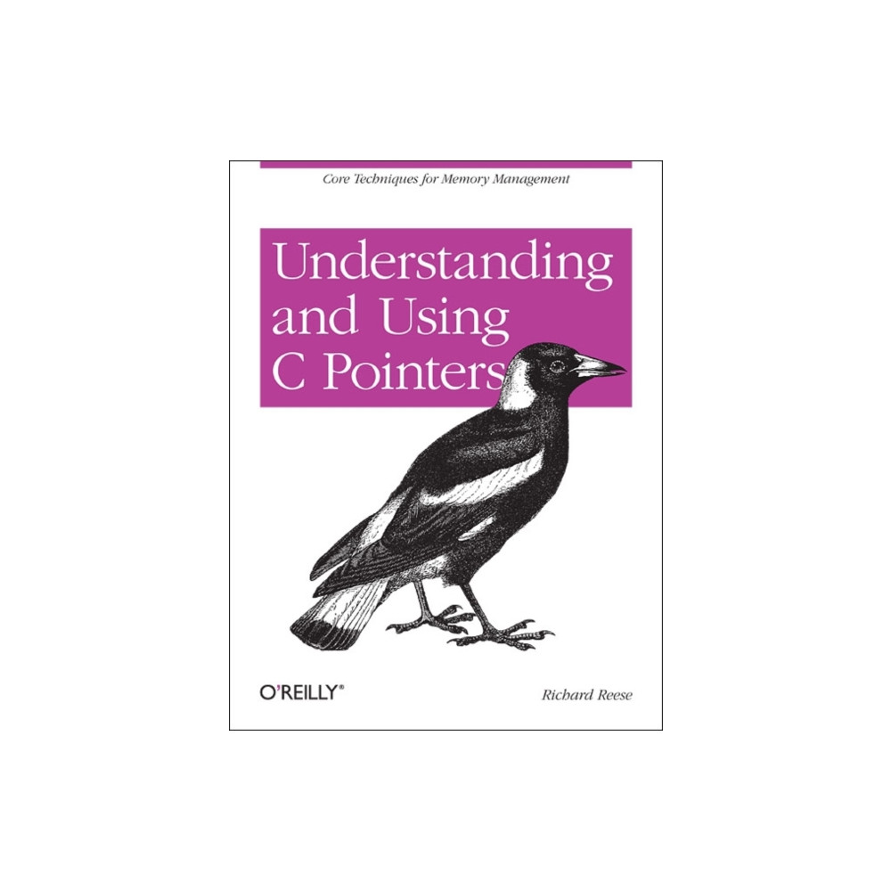 Understanding and Using C Pointers (häftad, eng)