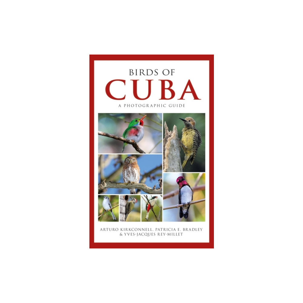 Photographic Guide to the Birds of Cuba (häftad, english) Bloomsbury Publishing PLC