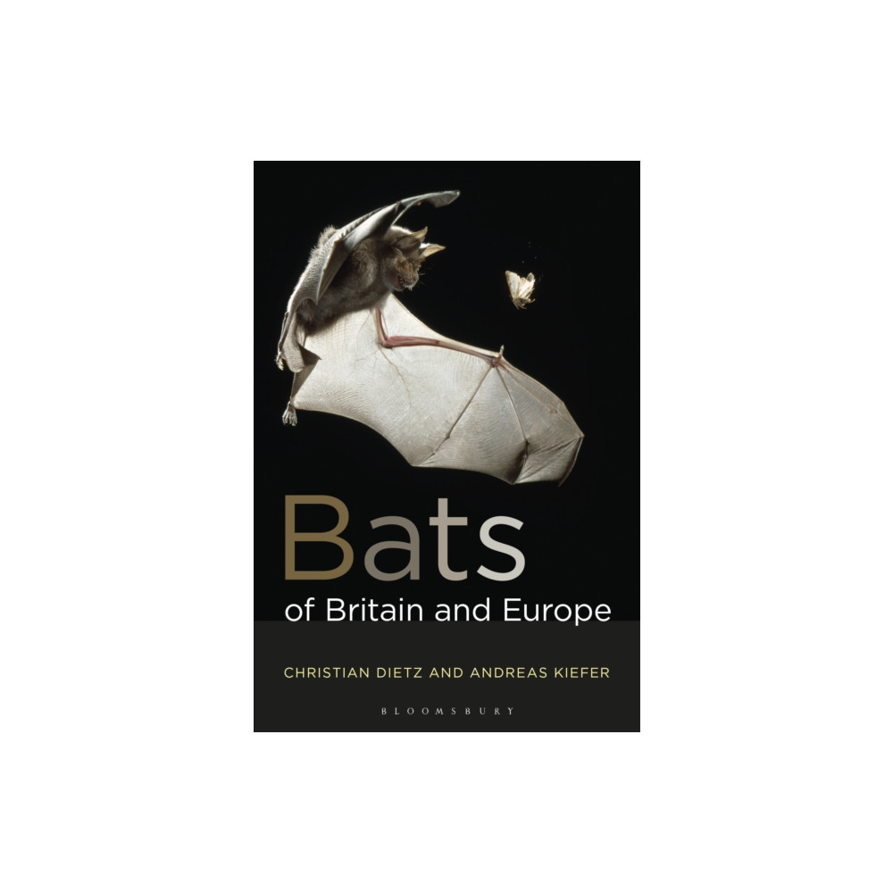 Bats of Britain and Europe (häftad, english) Bloomsbury Publishing PLC