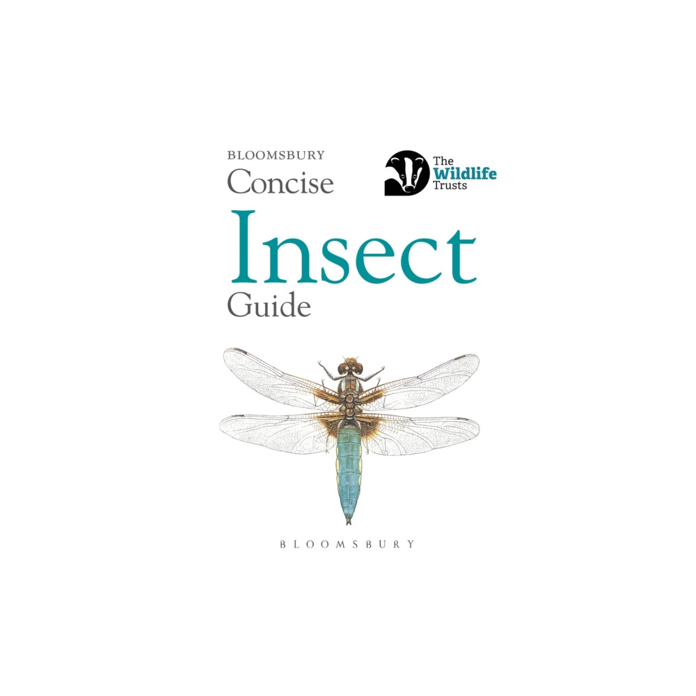 Concise Insect Guide (häftad, eng)
