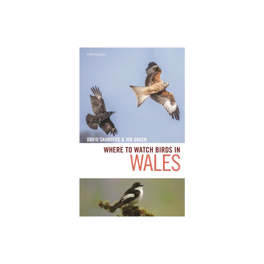 Where to Watch Birds in Wales (häftad, eng)