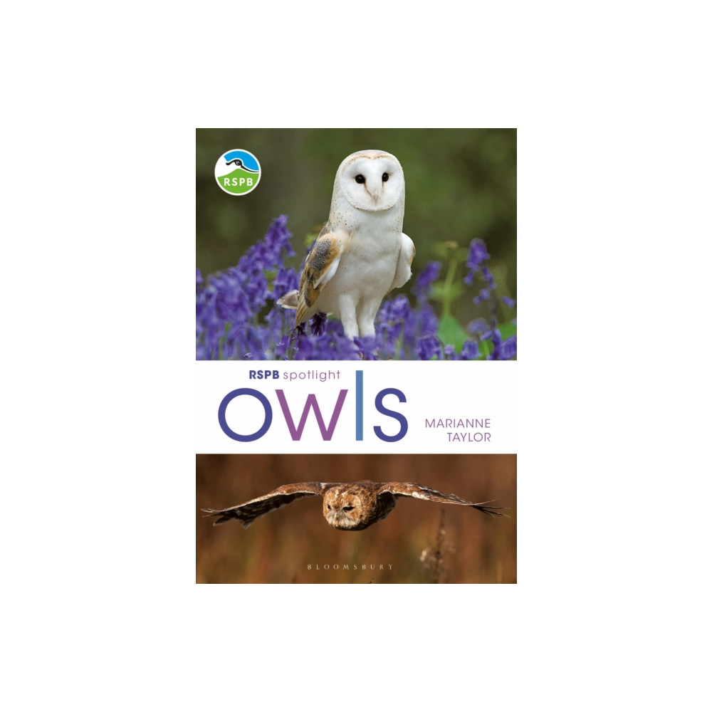 RSPB Spotlight Owls (häftad, eng)