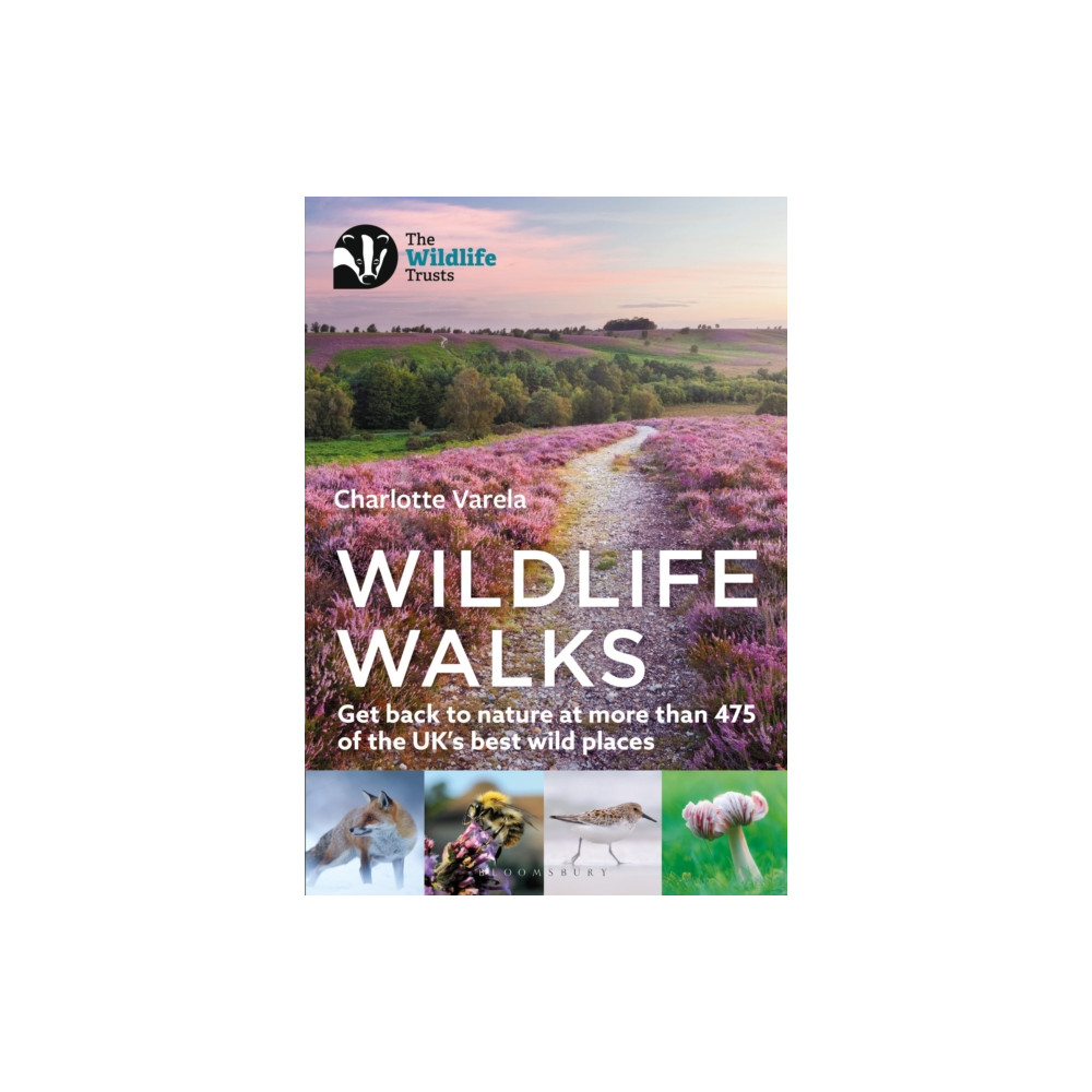 Wildlife Walks (häftad, english) Bloomsbury Publishing PLC