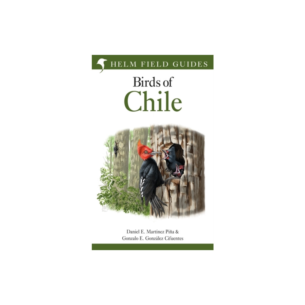 Field Guide to the Birds of Chile (inbunden, eng)