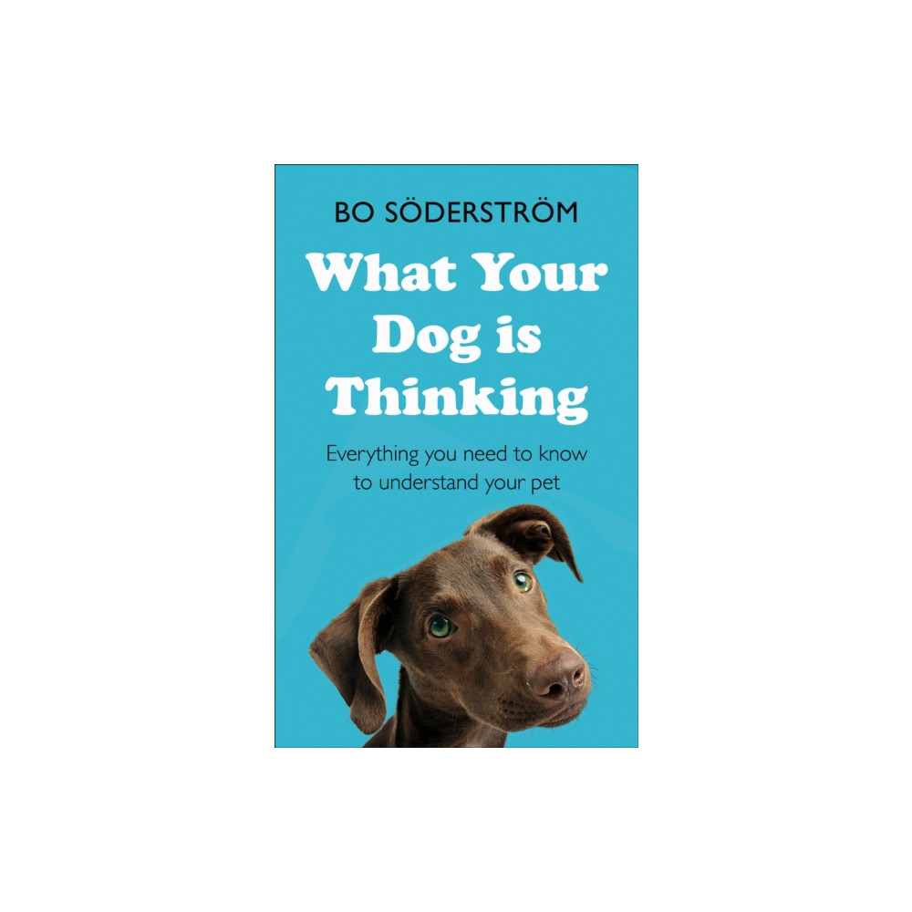 What Your Dog Is Thinking (häftad, english) John Murray Press