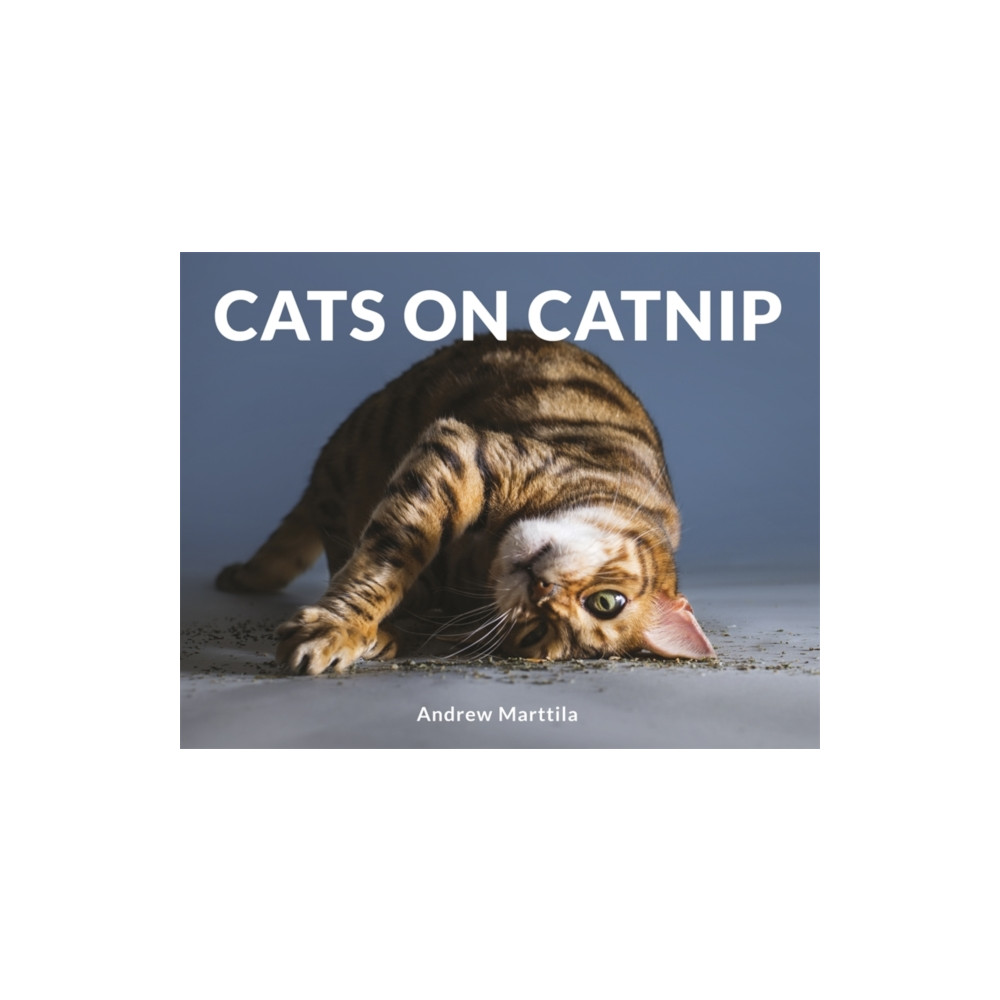 Cats on Catnip (inbunden, english) Little, Brown Book Group